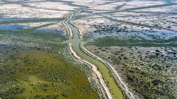Water Scarcity: A Global Crisis with Geopolitical Implications