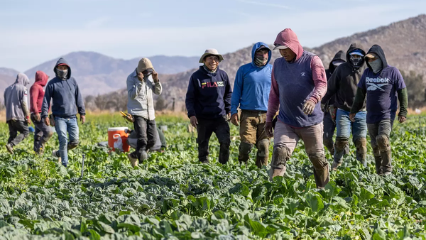 How President-elect Trump’s Immigration Enforcement Plans May Impact Rural America