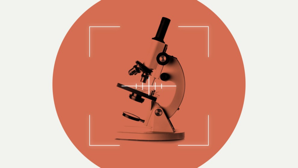 “Waging War on Science”: Researchers Worry About Their Jobs Under Trump 2.0